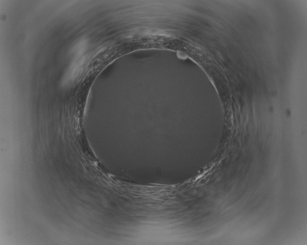 X0000070181013200606021027