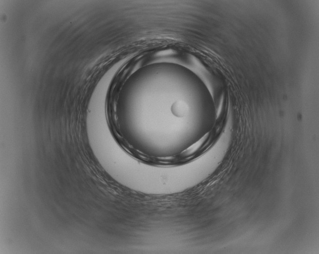 X0000070181014200606021027