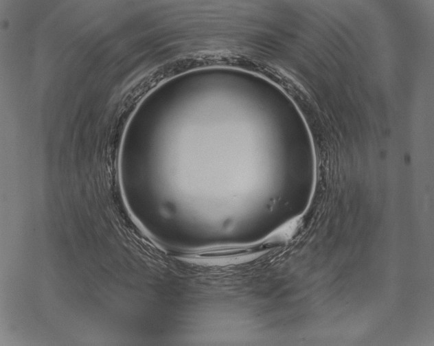 X0000070181015200606021027