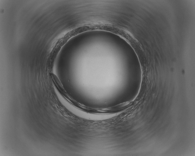 X0000070181016200606021027