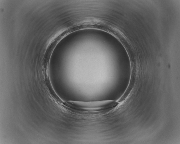 X0000070181018200606021027