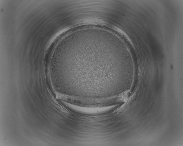 X0000070181019200606021027