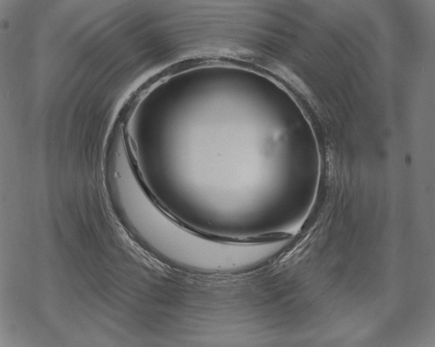 X0000070181020200606021027