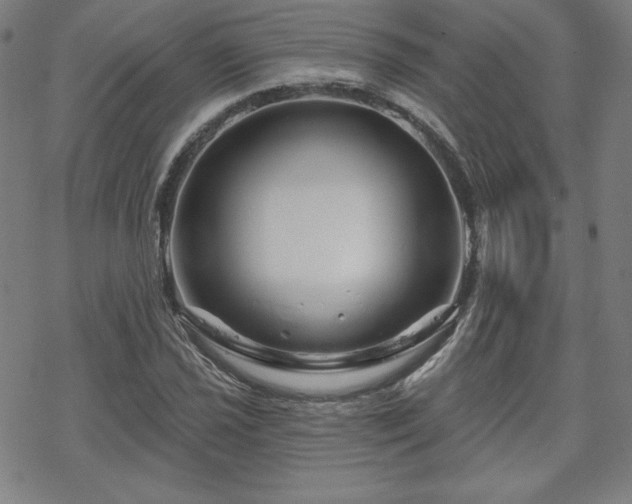 X0000070181021200606021027