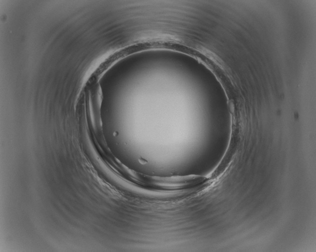 X0000070181022200606021027