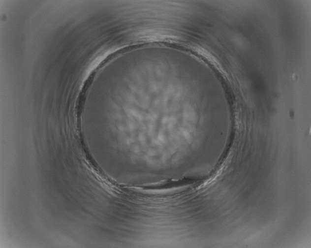 X0000070181023200606021027