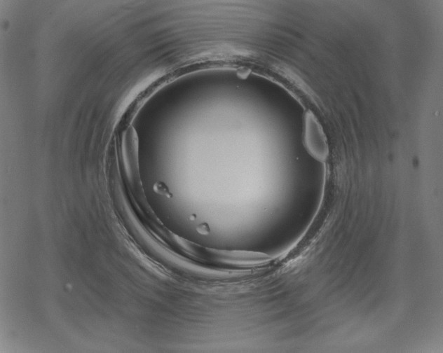 X0000070181026200606021027