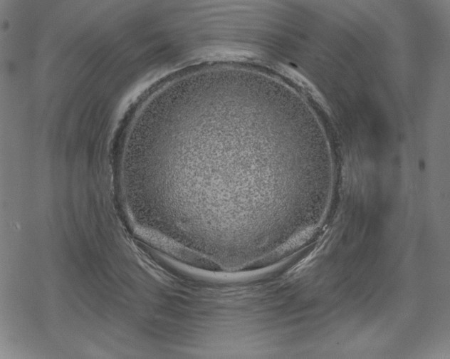 X0000070181027200606021027