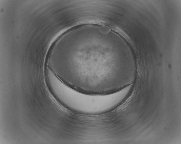 X0000070181028200606021027