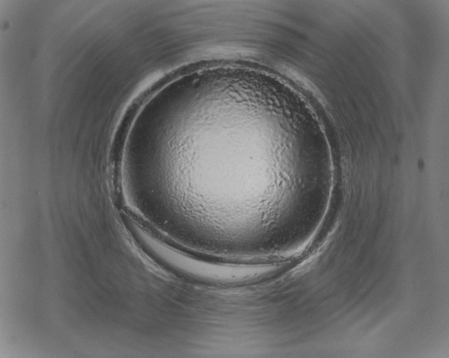 X0000070181029200606021027