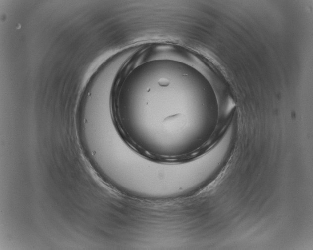 X0000070181030200606021027