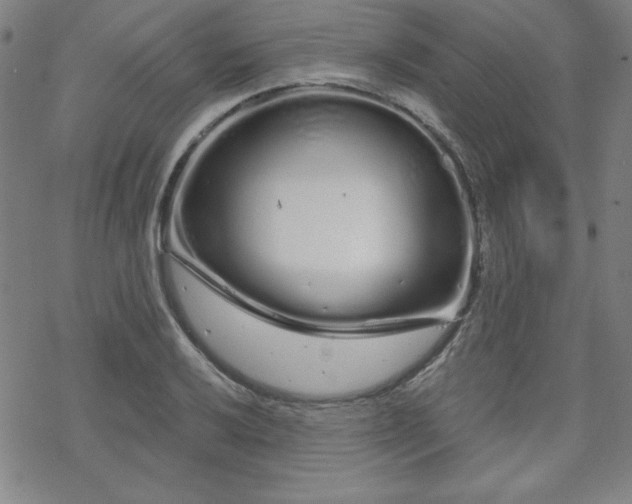 X0000070181032200606021027