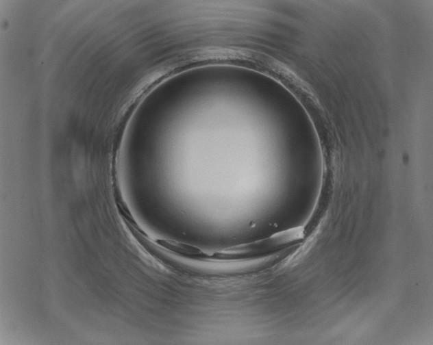 X0000070181033200606021027