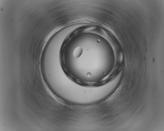 X0000070181034200606021027