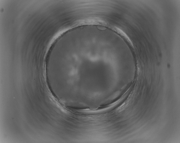 X0000070181035200606021027