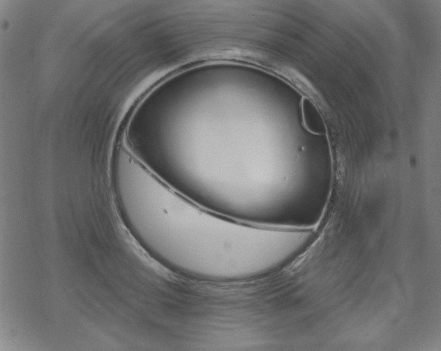 X0000070181036200606021027