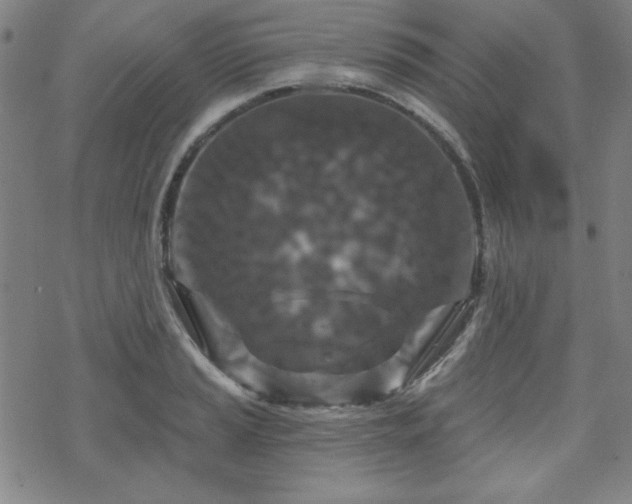 X0000070181037200606021027