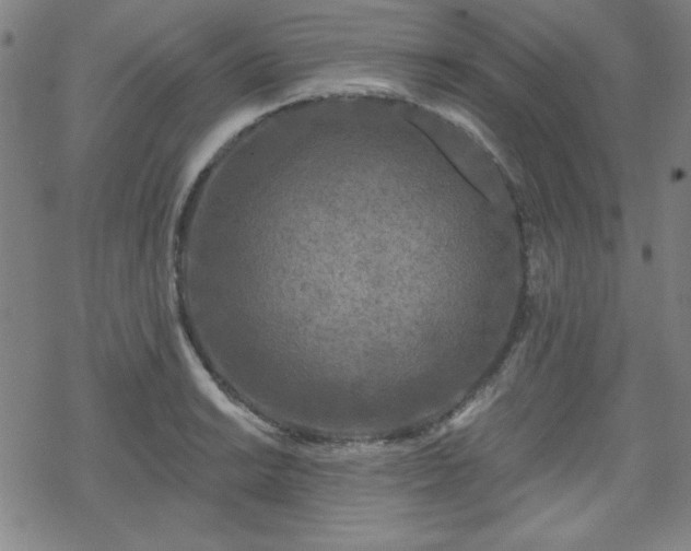 X0000070181038200606021027