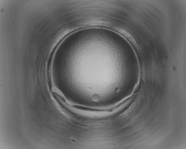 X0000070181039200606021027