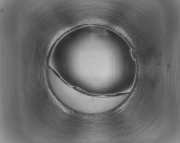 X0000070181040200606021027