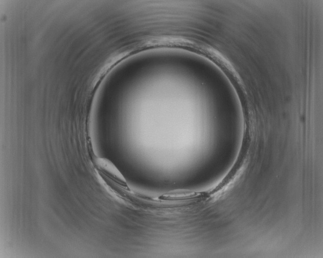 X0000070181041200606021027