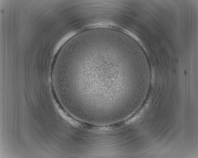 X0000070181042200606021027