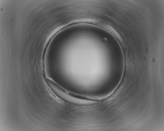 X0000070181044200606021027