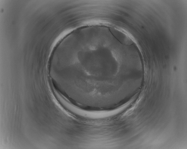 X0000070181045200606021027