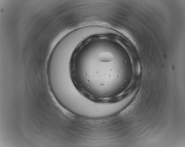 X0000070181046200606021027