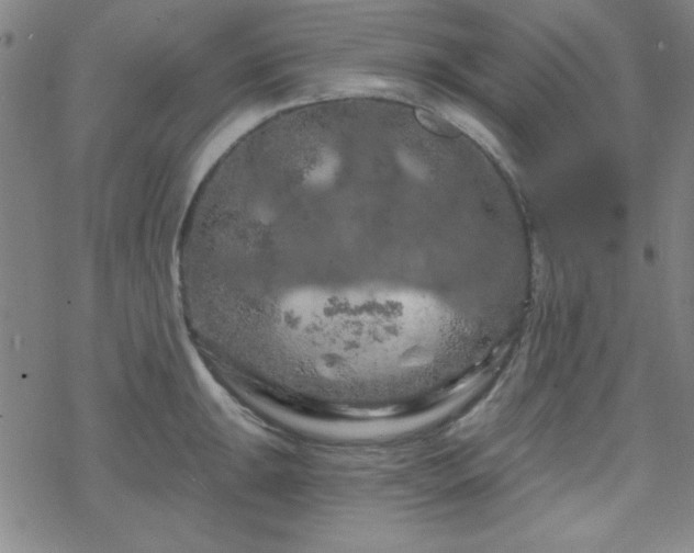 X0000070181047200606021027