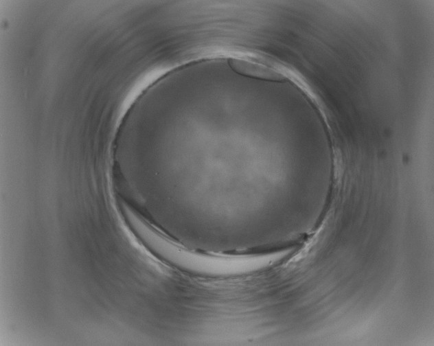 X0000070181048200606021027