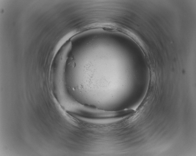 X0000070181050200606021027