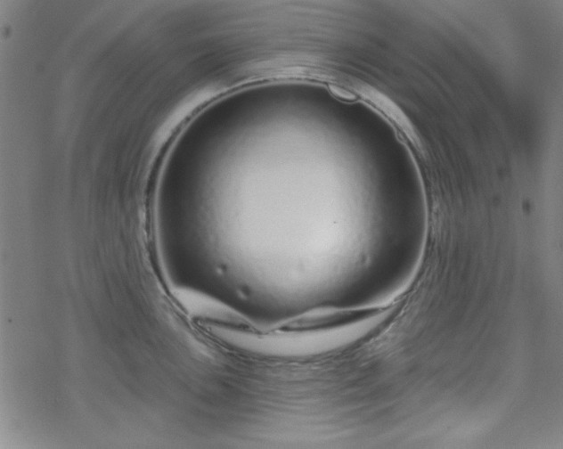 X0000070181051200606021027