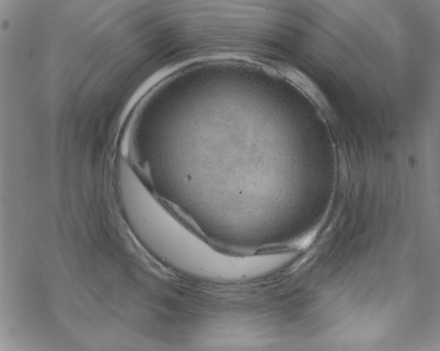 X0000070181052200606021027