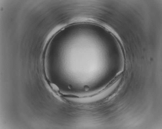 X0000070181053200606021027