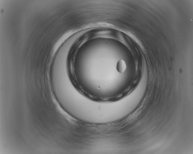 X0000070181054200606021027