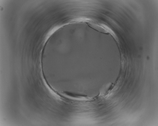 X0000070181055200606021028