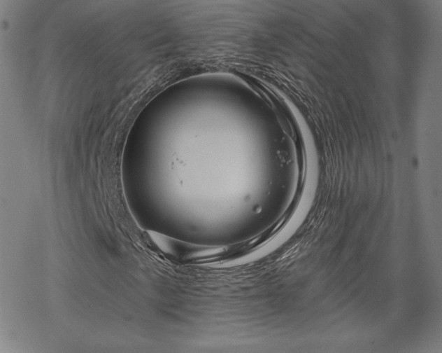 X0000070181057200606021027