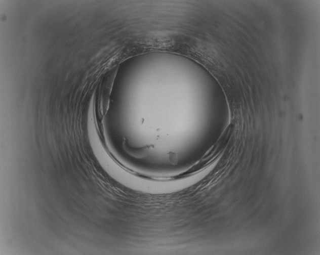 X0000070181058200606021027