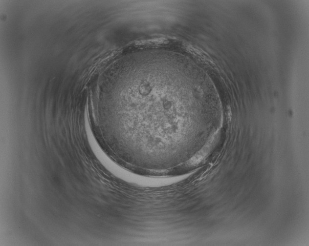 X0000070181059200606021027