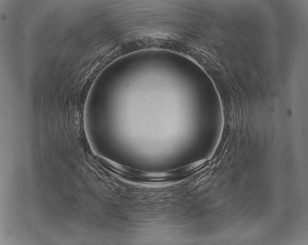 X0000070181061200606021027