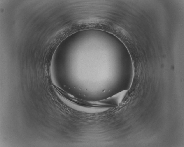 X0000070181062200606021027