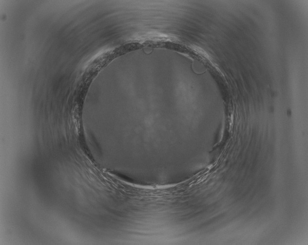 X0000070181063200606021027