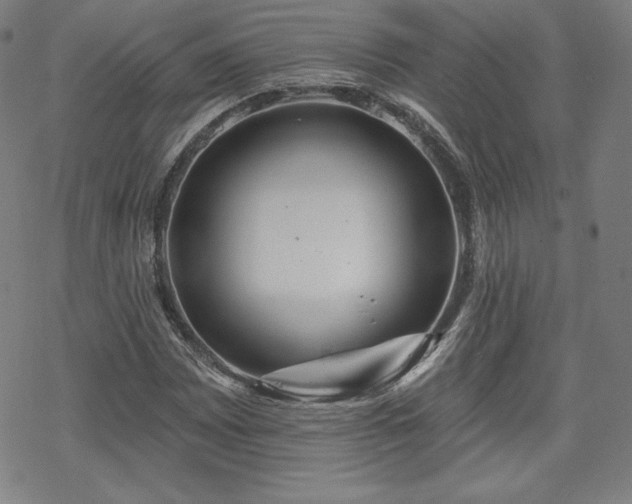 X0000070181065200606021027