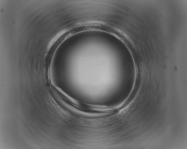 X0000070181066200606021027