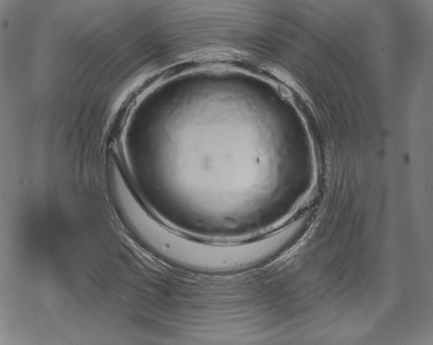 X0000070181067200606021027