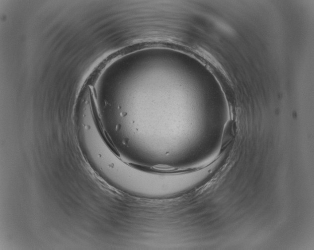 X0000070181068200606021027