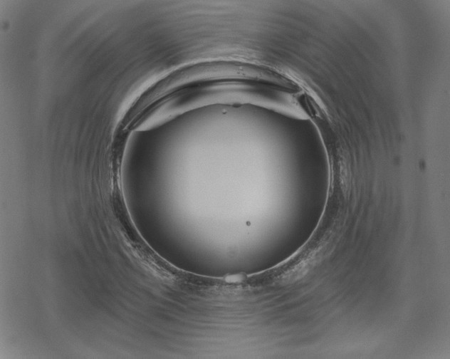 X0000070181069200606021027