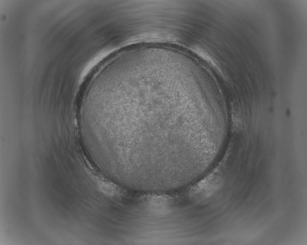 X0000070181070200606021027