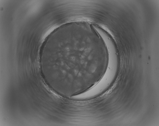 X0000070181071200606021027